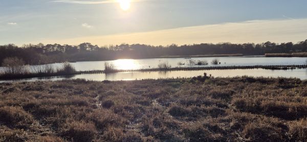View from Lions View Point